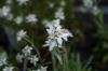 130722Jardin03269