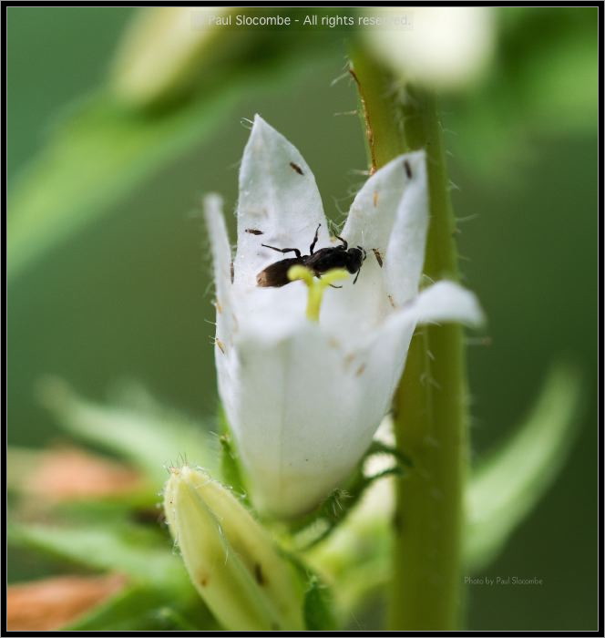 130728Kew03700