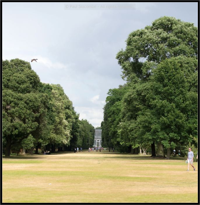 130728Kew03707