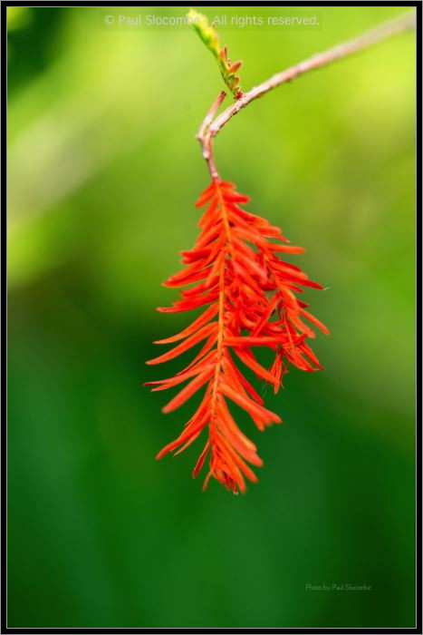 130728Kew03711