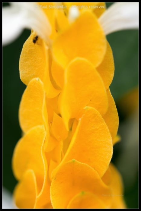 130728Kew03723