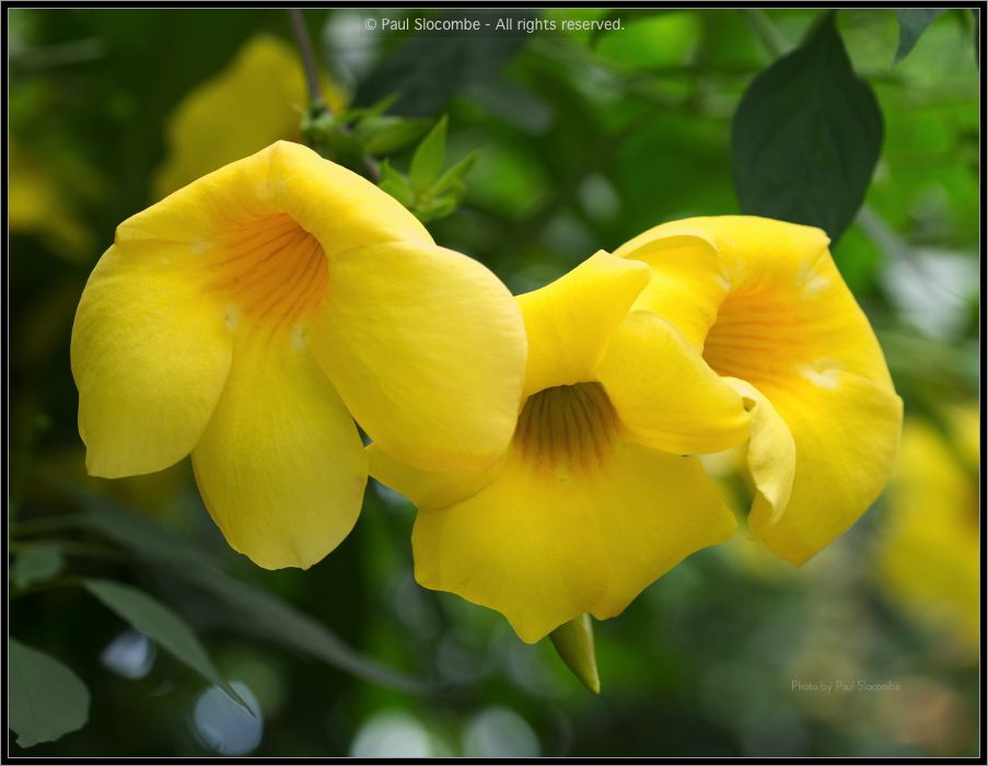 130728Kew03725