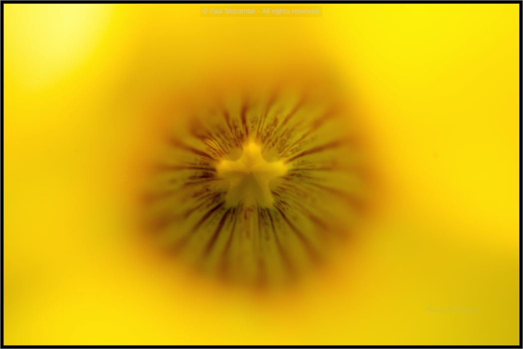 130728Kew03724