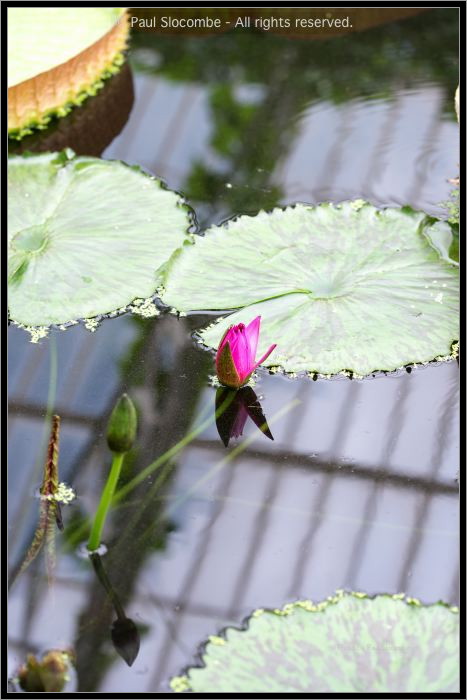 130728Kew03726