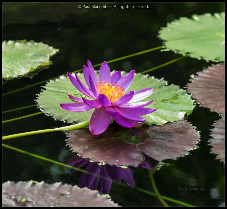 130728Kew03732