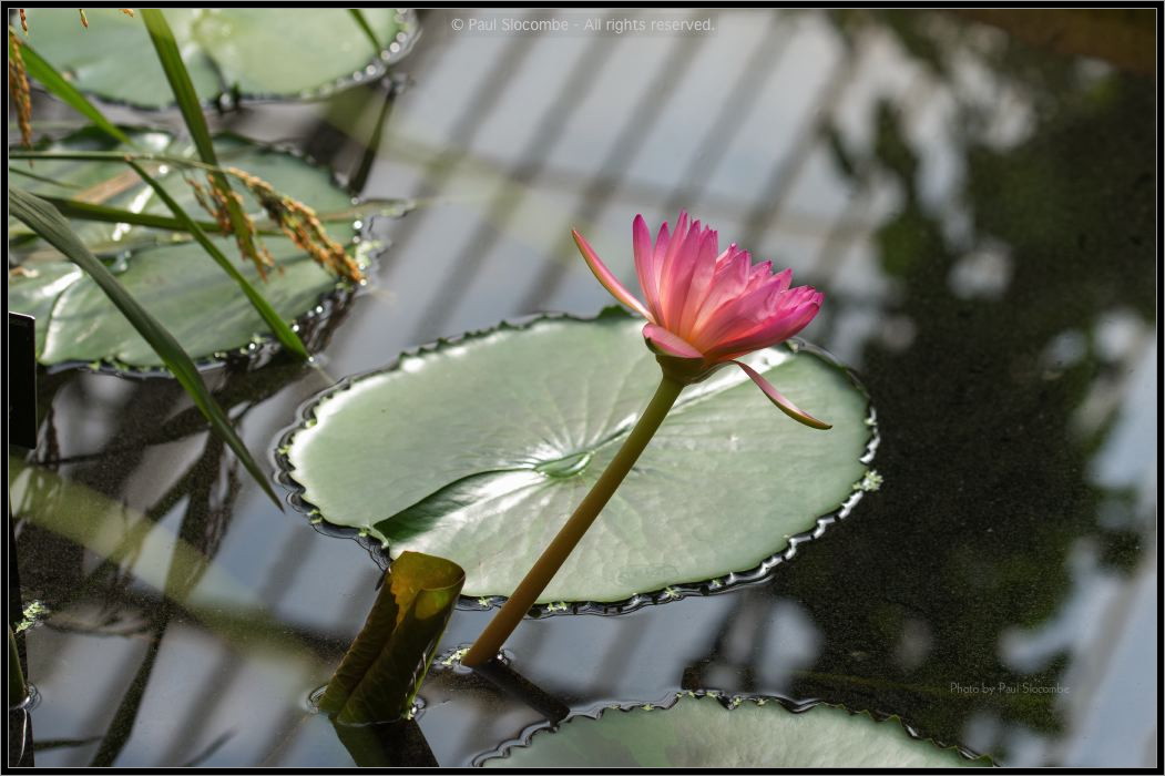 130728Kew03731