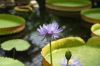 130728Kew03729