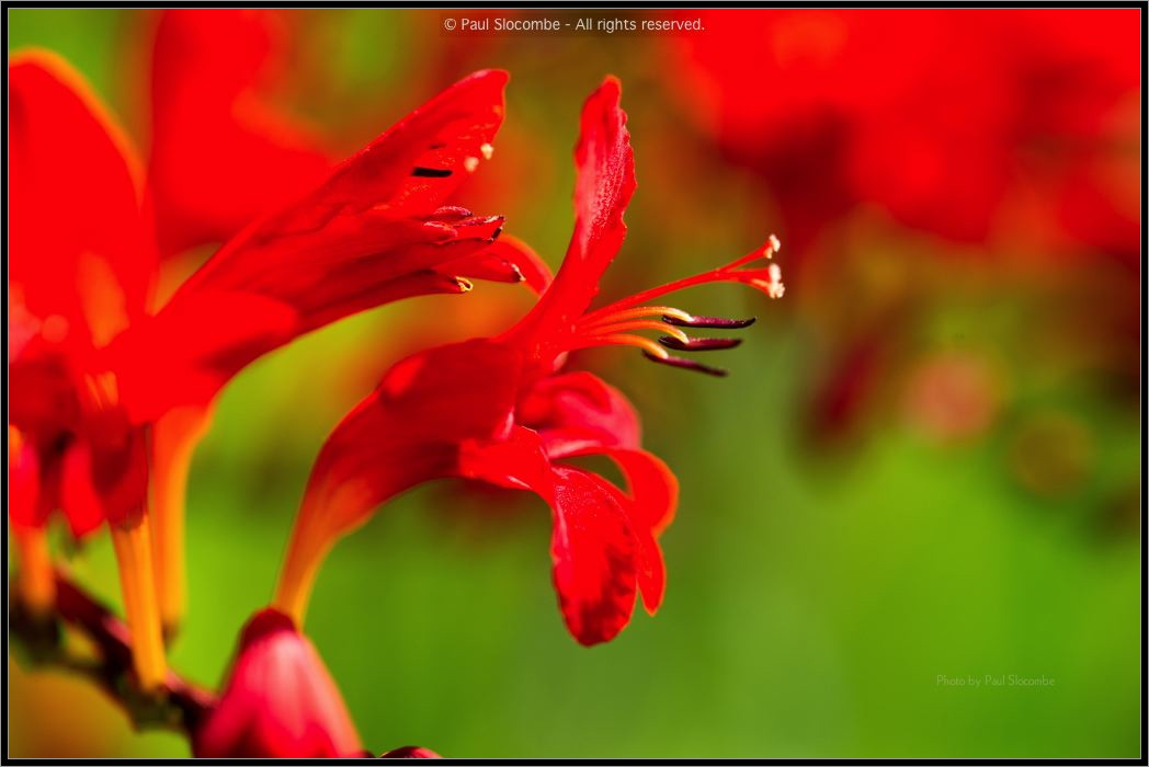 130728Kew03746