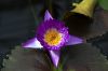 130728Kew03734