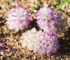 130728Kew03771