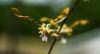 130728Kew03785