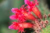 130728Kew03804