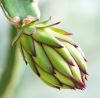 130728Kew03808