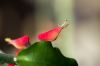 130728Kew03805