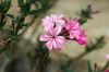 130728Kew03809