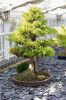 130728Kew03812