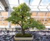 130729Kew03838