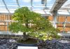 130729Kew03842