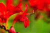 130728Kew03746