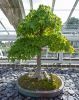 130729Kew03845