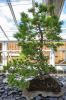 130729Kew03848