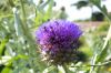 130728Kew03827