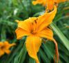 130729Kew03862