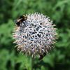 130729Kew03868