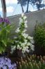 130729Kew03879