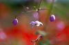 130728Kew03747