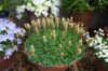 130729Kew03881