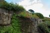 130729Kew03882