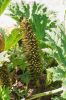 130728Kew03750