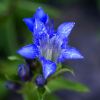 130728Kew03754