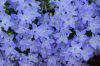 130728Kew03760