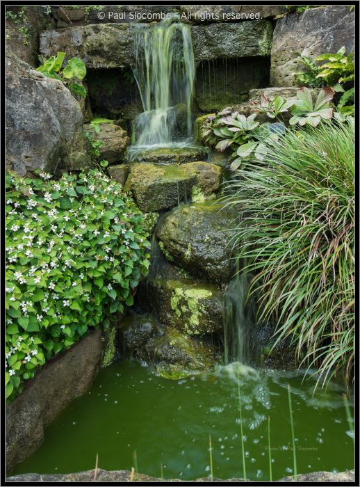 130729Kew03886