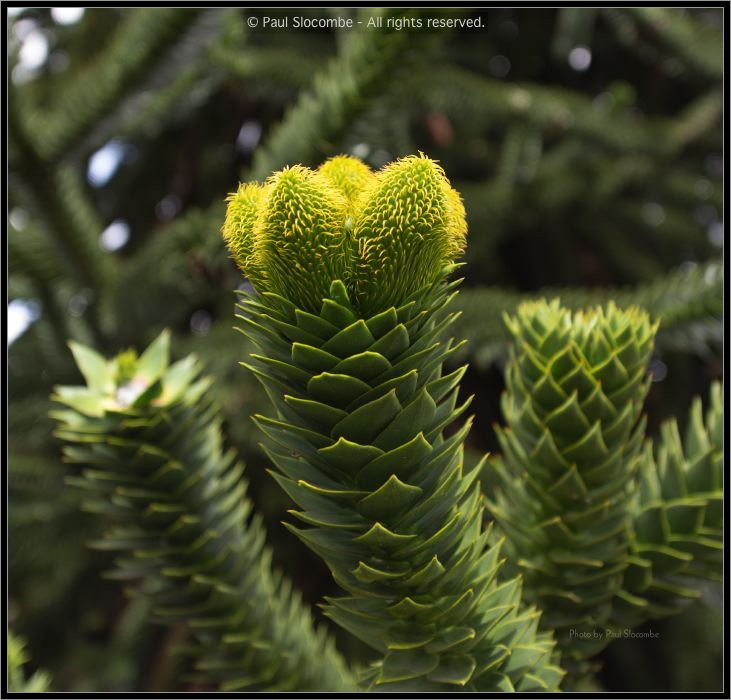 130729Kew03925
