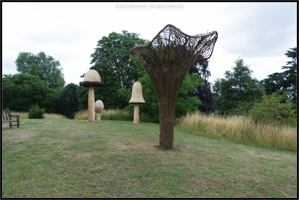 130729Kew03932