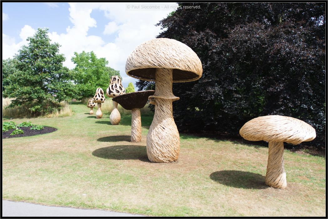 130729Kew03937