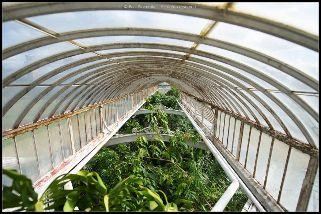 130729Kew04013