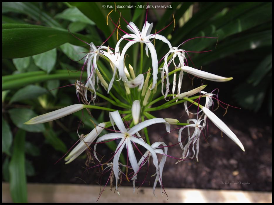 130729Kew04021