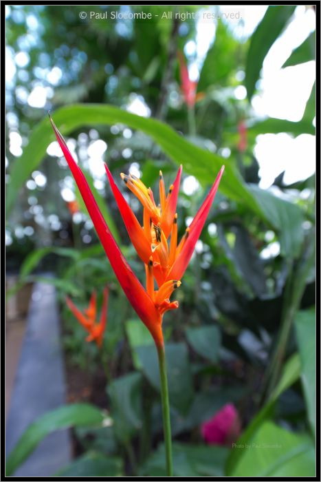 130729Kew04030