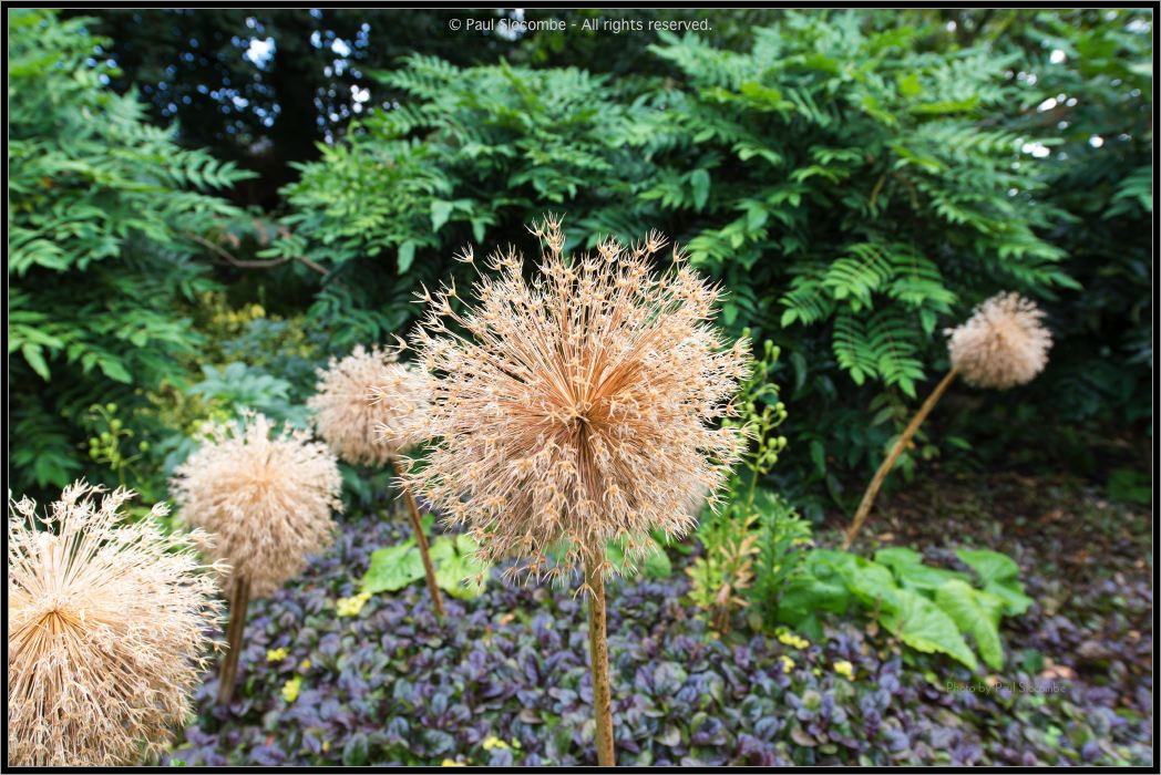 130729Kew03904