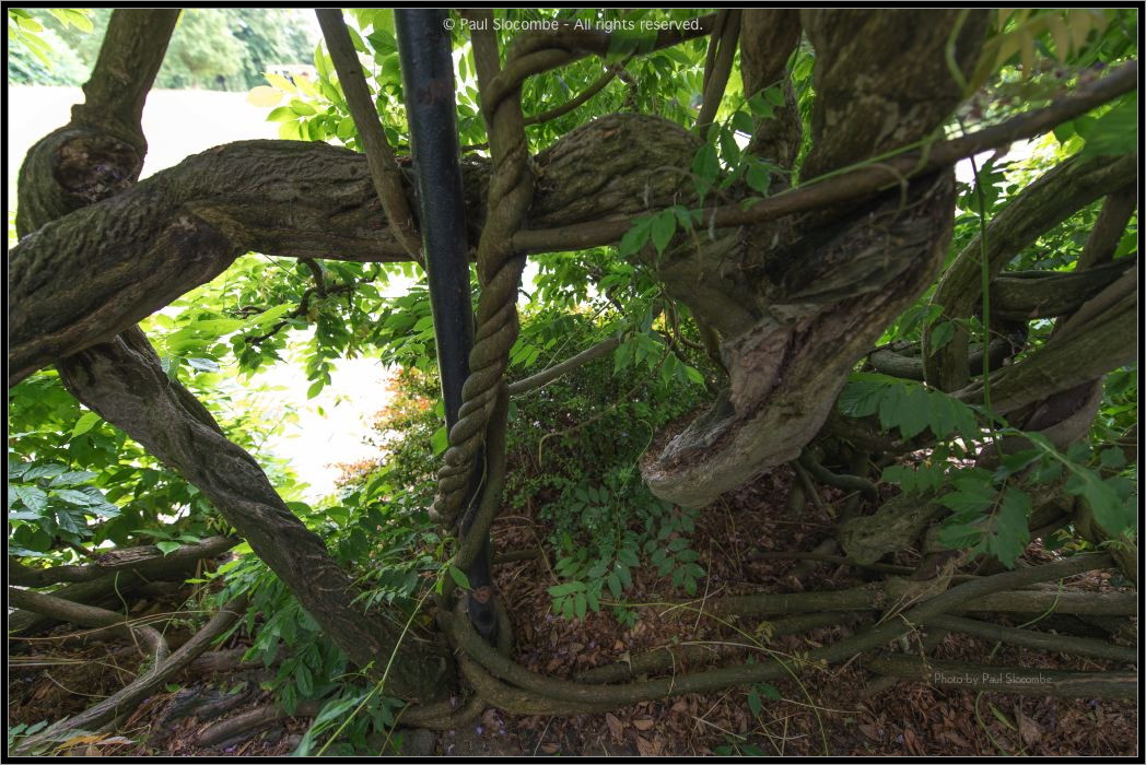 130729Kew03910