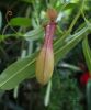 130729Kew03921
