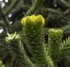 130729Kew03925