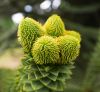 130729Kew03926