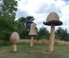 130729Kew03927