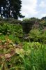 130729Kew03897