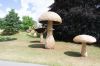 130729Kew03937